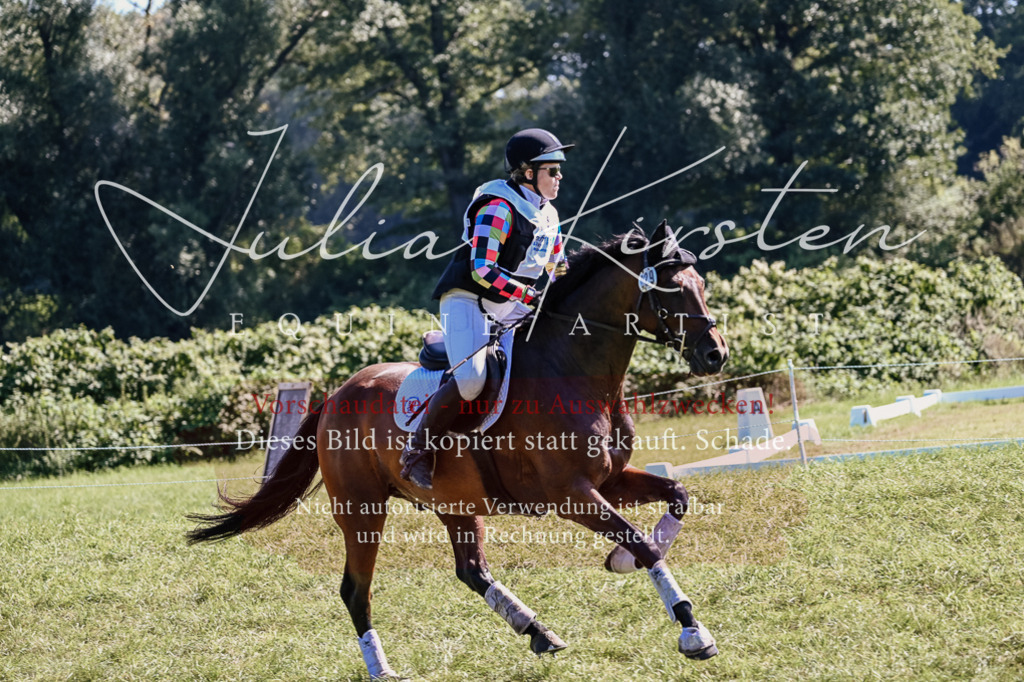 DSC_1585 | Pferde- und Turnierfotografie in Westsachsen. Pferdeportraits, Auftragszeichnungen und intuitive Kunst.