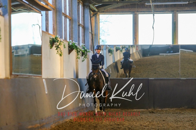 IMG_3349 | Turniersportfotografie; Pferdefotografie; Dressurfotografie