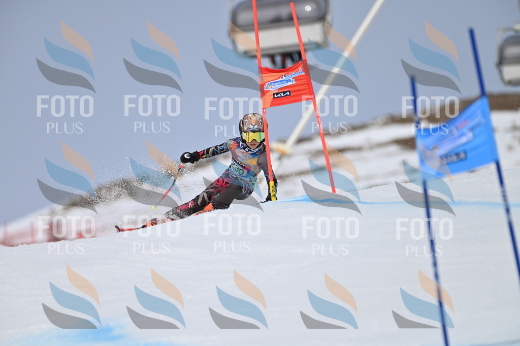 BGV_4539 | holidayphoto