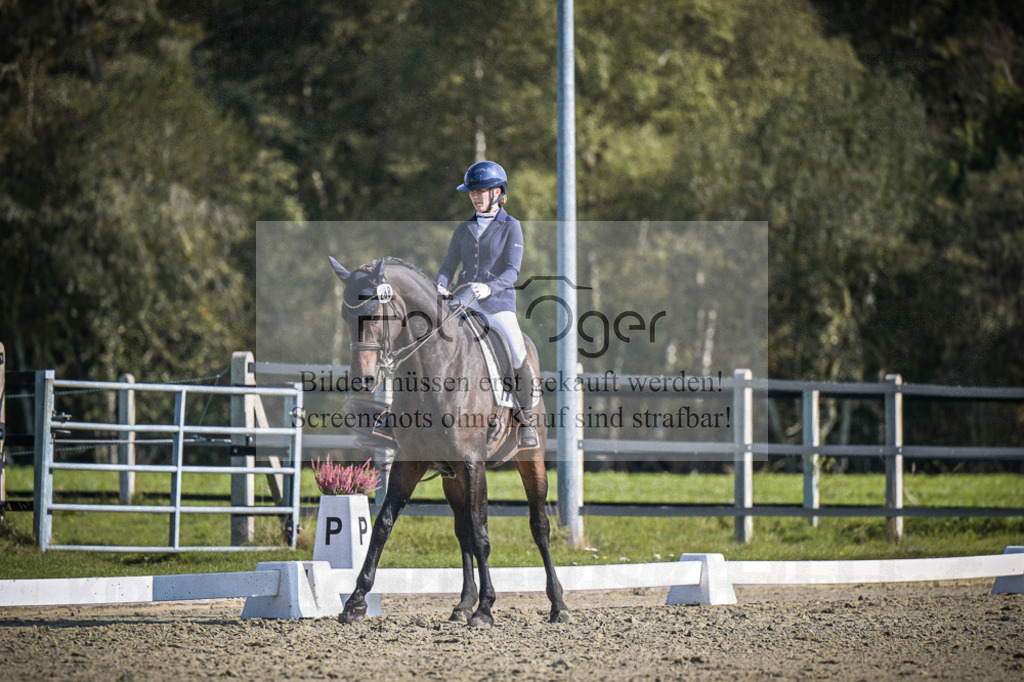 DOS_2708 | Entdecke hochwertige Reitturnierfotos von Foto Oger. Professionell, emotional und authentisch – jetzt Lieblingsmomente im Shop bestellen.Deutschlandweite Turnierfotografie. - Realisiert mit Pictrs.com