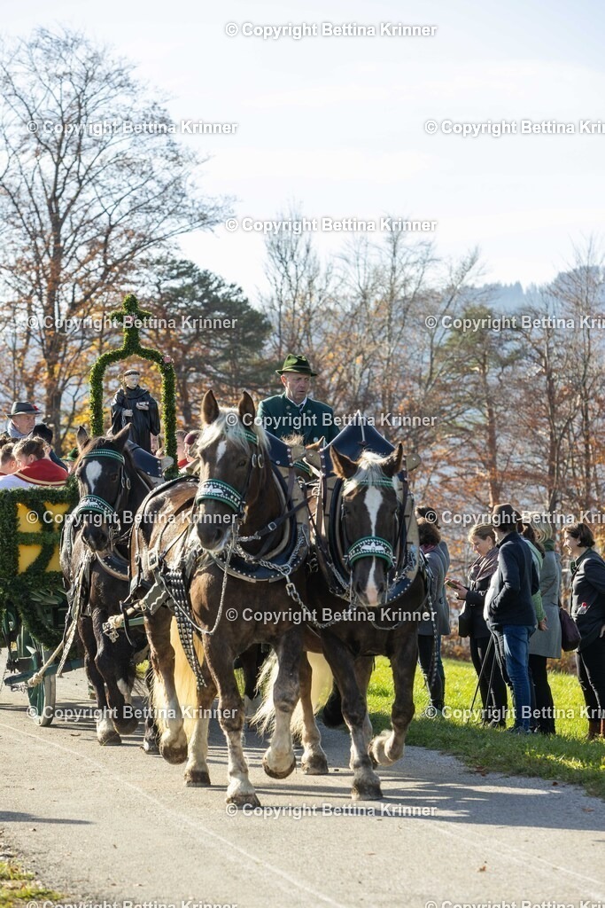 LBT24-1143 | foto-bettina-krinner - Realisiert mit Pictrs.com