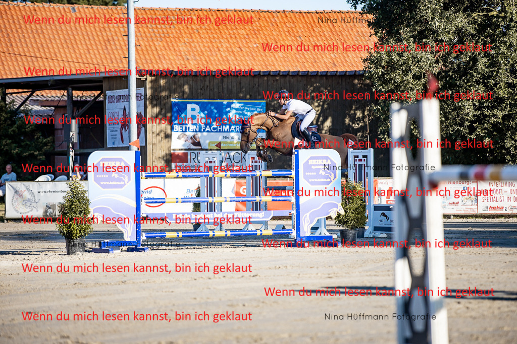 BK1A8379 | Turnierbilder Turnierfotos Nina Hüffmann Turnierfotografie Pferdefotografie Tierzeichnung Haustierzeichnung Pferdezeichnung Hundezeichnung Videograf  - Realisiert mit Pictrs.com