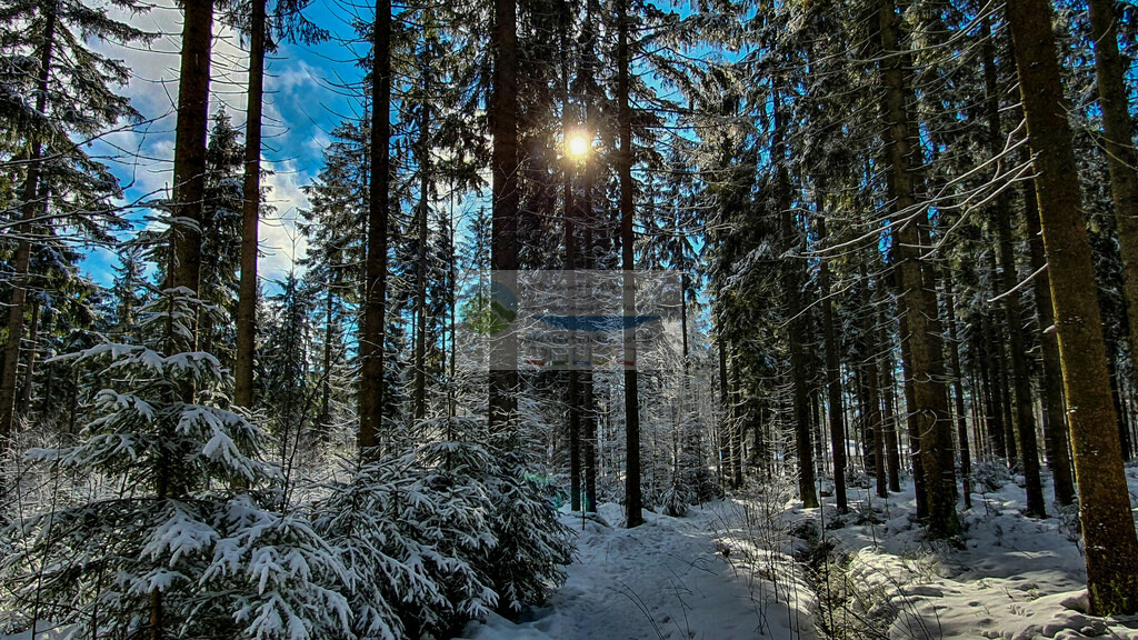 Platte Winter | Impressionen rund um Hochfranken - Frankenwald - Fichtelgebirge - Realisiert mit Pictrs.com