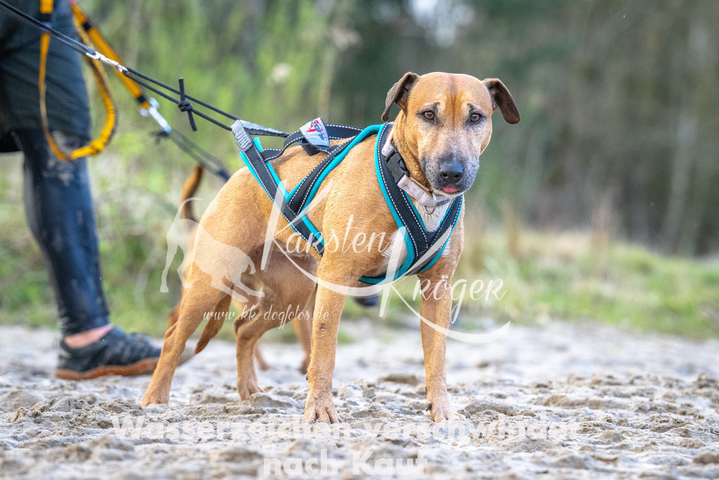 1659_ZZ90142 | kk-dogfotos