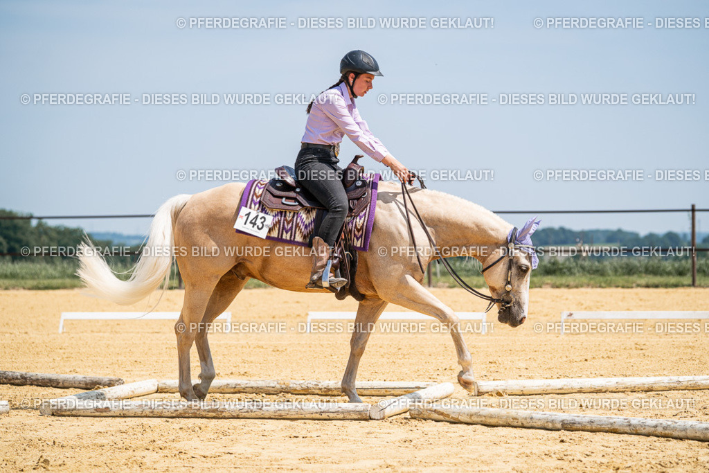 DSC01207 | Pferdegrafie