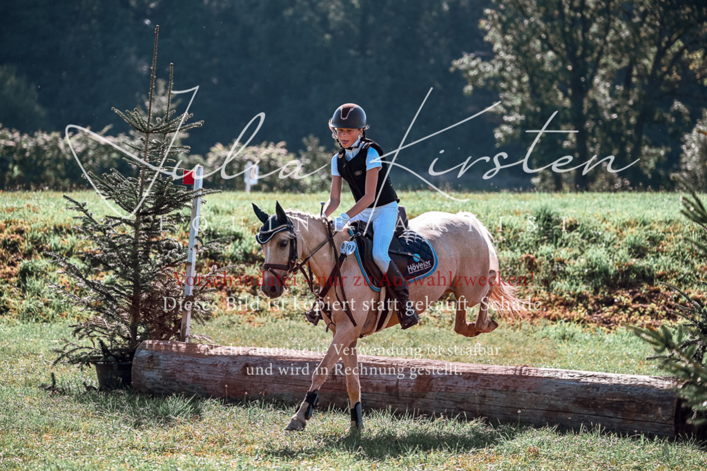 DSC_1051 | Pferde- und Turnierfotografie in Westsachsen. Pferdeportraits, Auftragszeichnungen und intuitive Kunst.