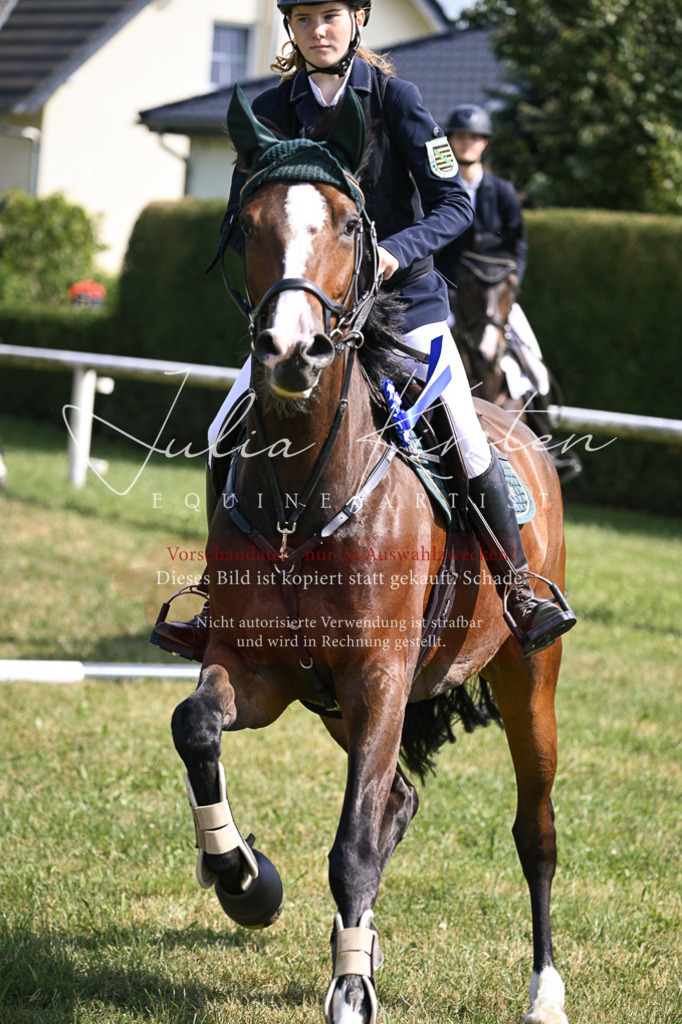 DSC_0730 | Pferde- und Turnierfotografie in Westsachsen. Pferdeportraits, Auftragszeichnungen und intuitive Kunst.
