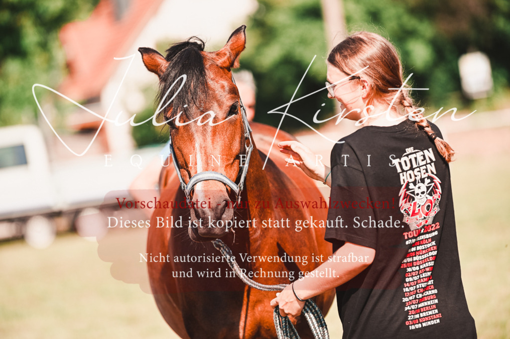 DSC_7354 | Pferde- und Turnierfotografie in Westsachsen. Pferdeportraits, Auftragszeichnungen und intuitive Kunst.