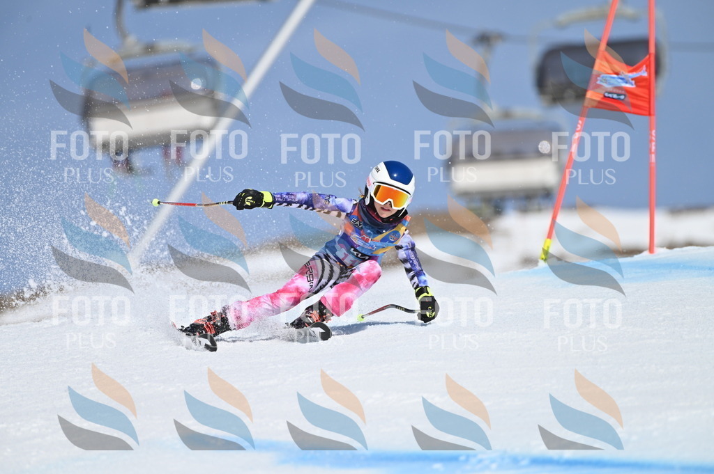 BGV_9713 | holidayphoto