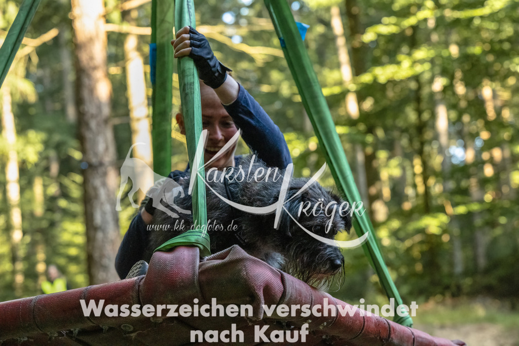 0940_ZZ91540-Bearbeitet | kk-dogfotos