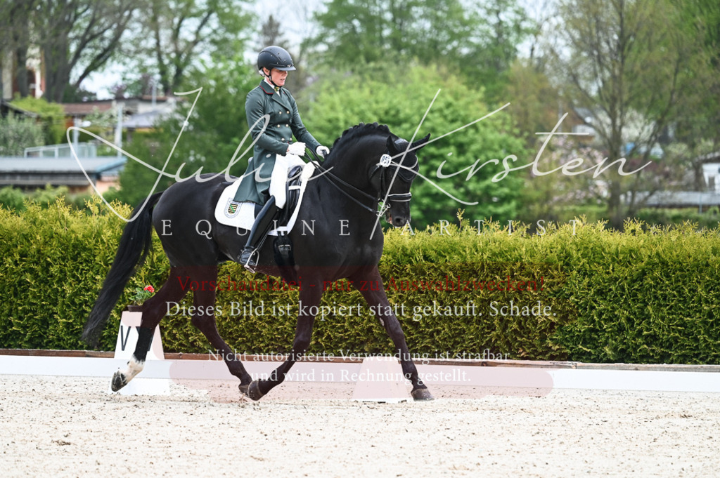 20230513_JK-Röhrsdorf-12-019-2 | Pferde- und Turnierfotografie in Westsachsen. Pferdeportraits, Auftragszeichnungen und intuitive Kunst.
