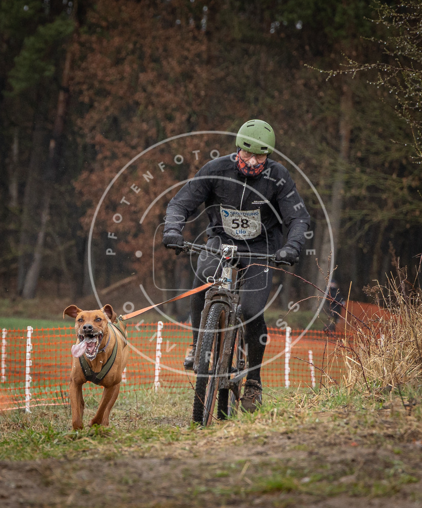0L8A8955 | Hundefotografie, Tierfotograf, Pfotenfotografie, Fotoshooting Hund, Hunde Portrait, Hundesport, Hundeportraits, Heideshooting, Hunde, Sportfotograf, Hundefotograf, Turnierhundsport, THS,  - Realisiert mit Pictrs.com