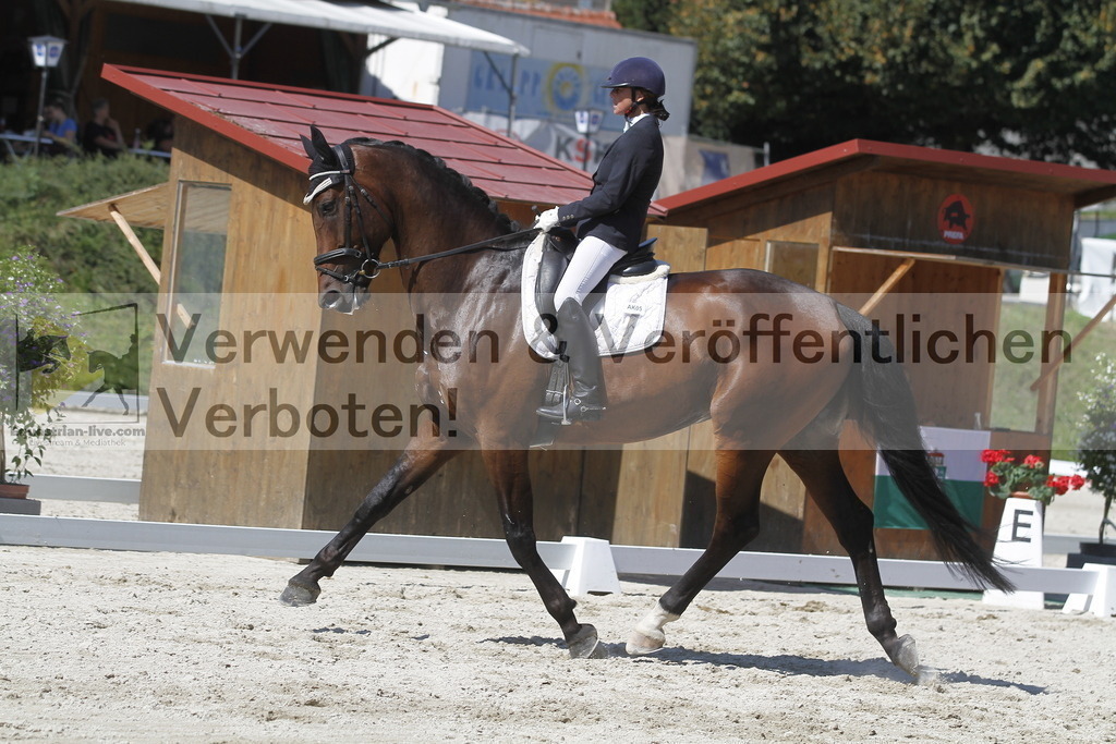 _MG_0038 | equestrian-live-com