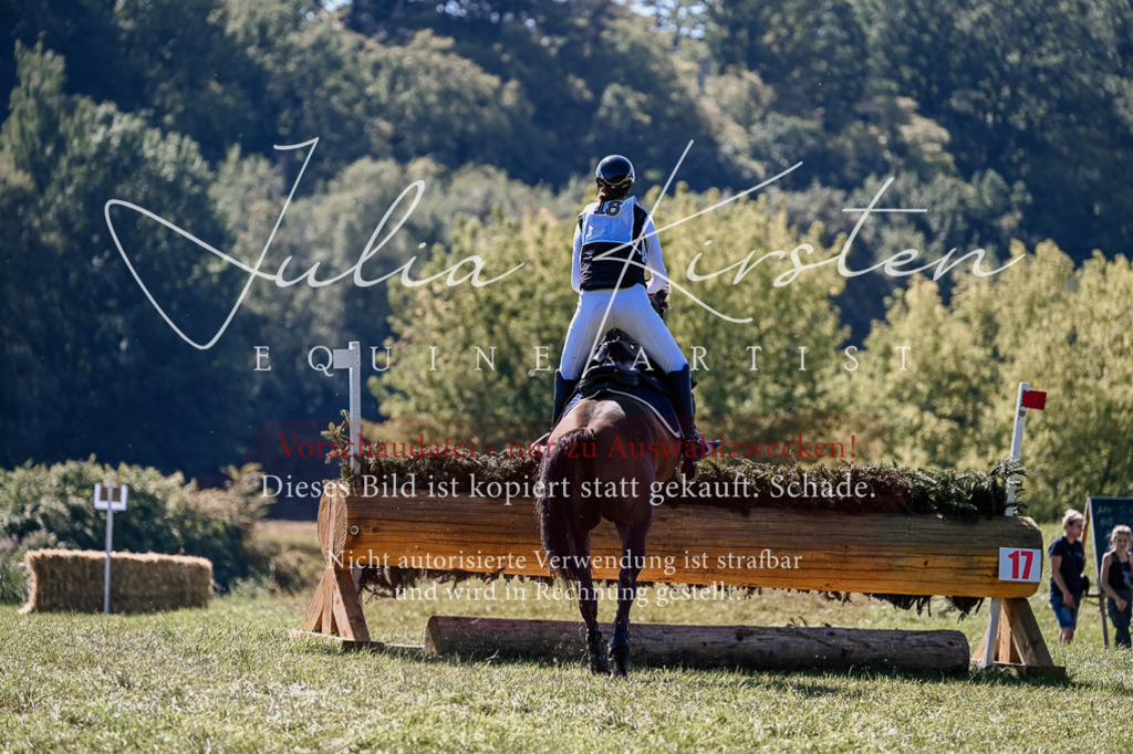 DSC_1324 | Pferde- und Turnierfotografie in Westsachsen. Pferdeportraits, Auftragszeichnungen und intuitive Kunst.
