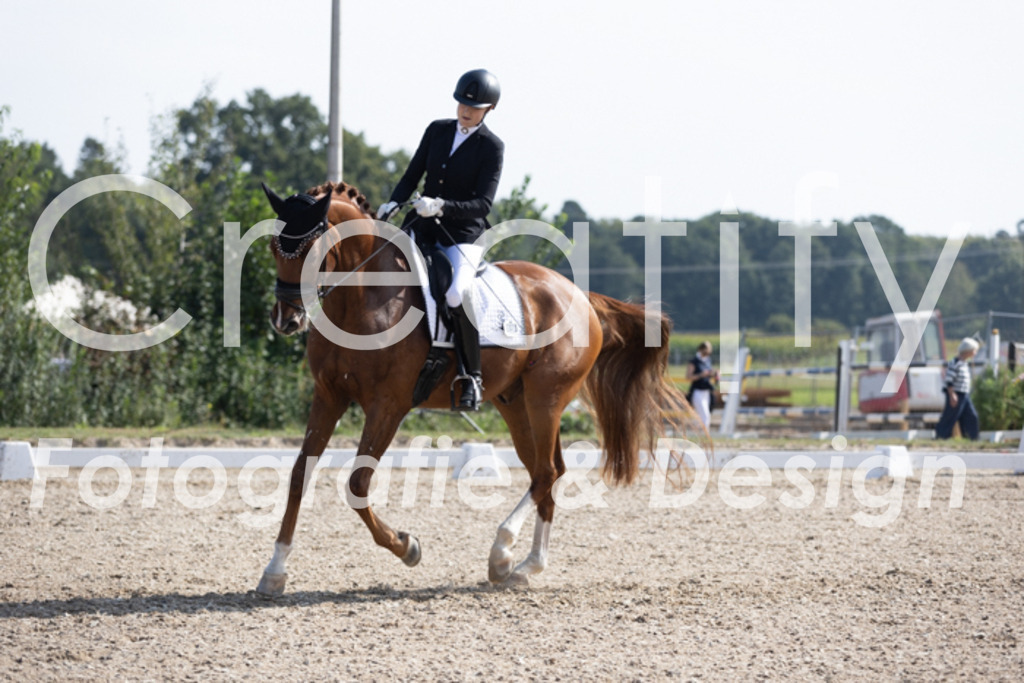 IMG_3168 | Creatify Fotografie