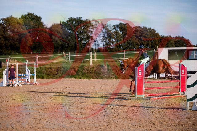 2026_10_03_Siefer-Hof_171200_Z81_08998038 | Professionelle Reitsport-, Turnier- und Eventfotografie von Robert Broda. Galerien mit ausgewählten und bearbeiteten Bildern direkt online ansehen und bestellen.