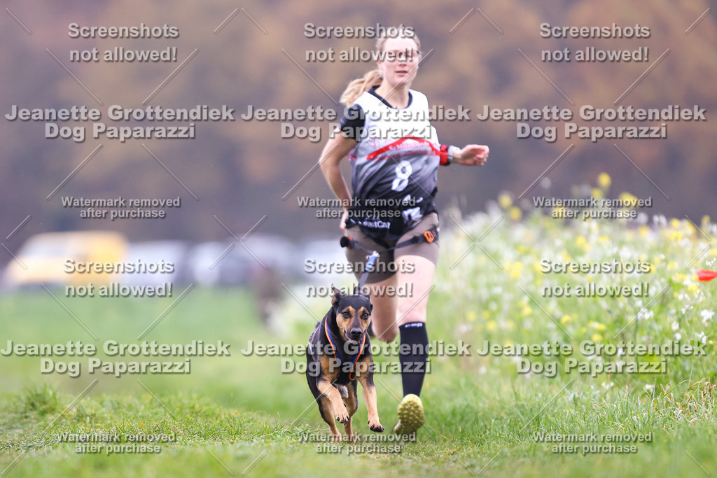 Dog Paparazzi - Visbeck 25 -804 | Dog Paparazzi Jeanette Grottendiek Fotografie & Videografie - Realisiert mit Pictrs.com