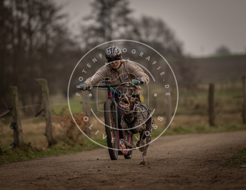 Pfotenfotografie_DV3A3955 | Hundefotografie, Tierfotograf, Pfotenfotografie, Fotoshooting Hund, Hunde Portrait, Hundesport, Hundeportraits, Heideshooting, Hunde, Sportfotograf, Hundefotograf, Turnierhundsport, THS,  - Realisiert mit Pictrs.com