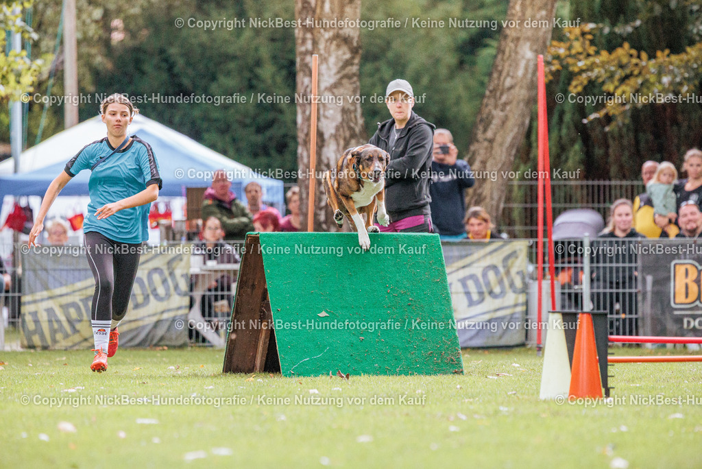 THS-HSV-Blumenthal-2026-Nickbest-Hundefotografie-0346 | Dein Hund! Dein Moment! Deine Erinnerungen! Hundefotografie in Bremen Blumenthal. Ich fange die besonderen Momente deines Vierbeiners ein – ob Indoor mit Blitzanlage oder in der freien Natur. Sicher dir dein Moment und dein Termin für eure Erinnerungen.