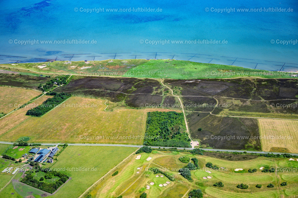 Sylt_Braderup_Braderuper_Heide_ELS_5232210625 | WENNINGSTEDT-BRADERUP (SYLT) 21.06.2025 Küstenbereich der Nordsee - Insel in Wenningstedt-Braderup (Sylt) Braderupper Heide Landschaft im Bundesland Schleswig-Holstein. // Coastal area of a??a??the North Sea - island in Wenningstedt-Braderup (Sylt) Braderupper Heide landscape in the state of Schleswig-Holstein. Foto: Martin Elsen