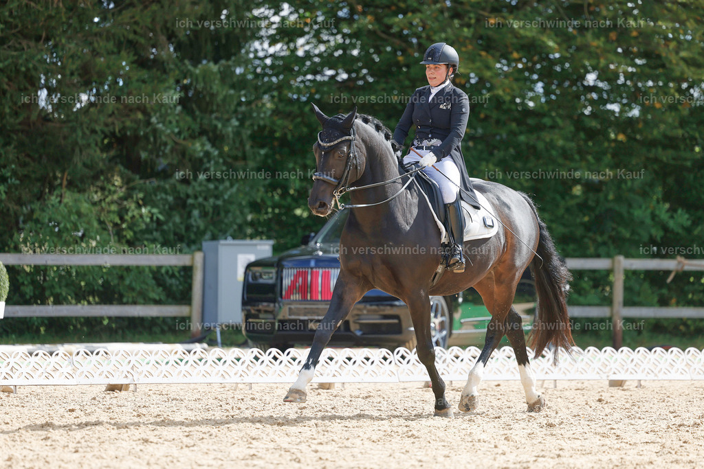 09_2-183-DRESSUR  S_  -StoibPH-5898 | working equitationturnier fotograf videograf stoibphotography marixx film working equitation deutschland reitsport turnierfotografie eventfotografie equestrian events