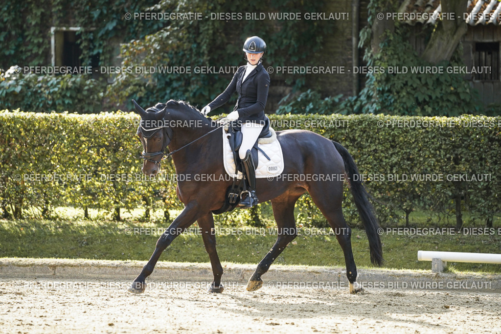 DSC05506 | Pferdegrafie