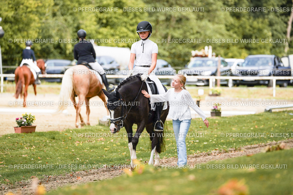 DSC02935 | Pferdegrafie