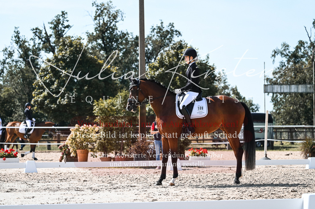 DSC_5039 | Pferde- und Turnierfotografie in Westsachsen. Pferdeportraits, Auftragszeichnungen und intuitive Kunst.
