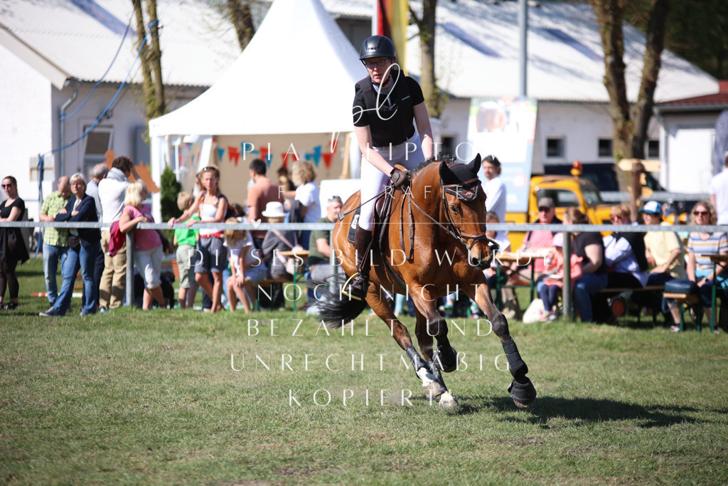 IMGT8873 | pl-fotografie