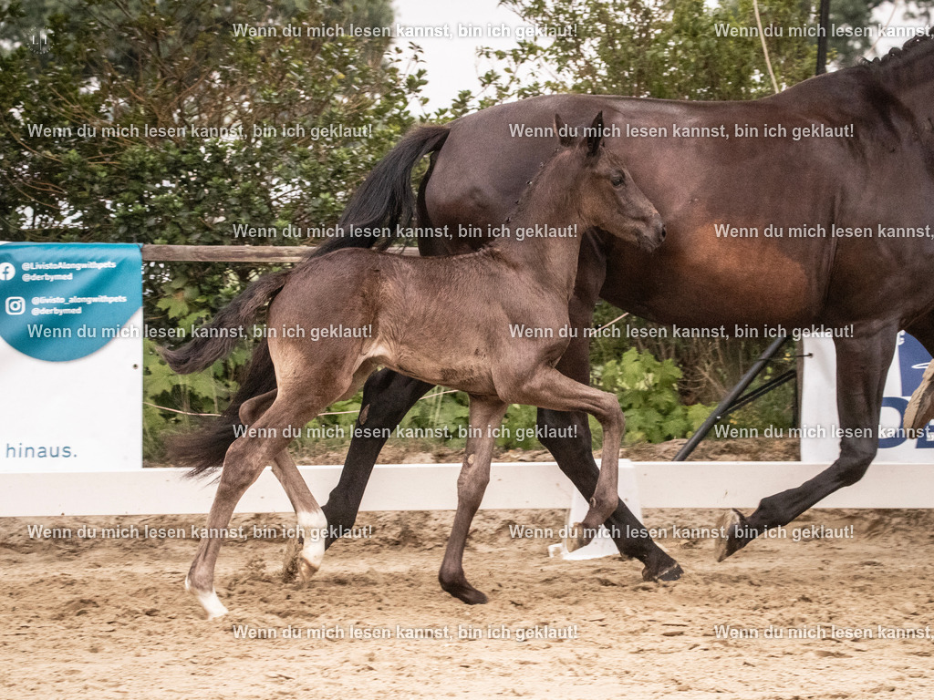 A10I5401 | photographylinaismer - Realisiert mit Pictrs.com