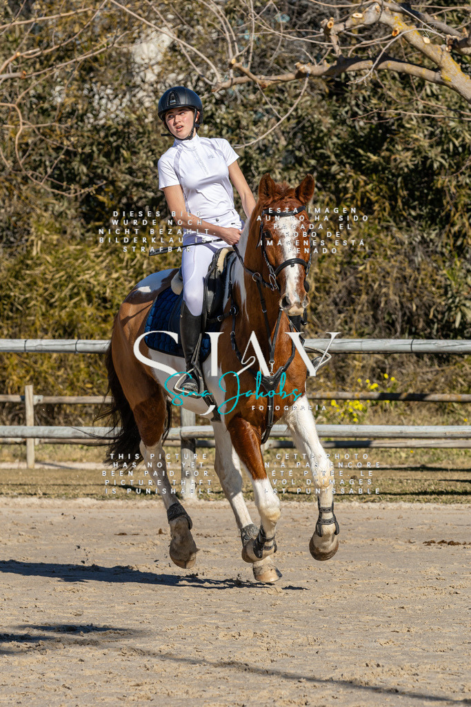 IMG_8371 | s-jay-photography - Realisiert mit Pictrs.com