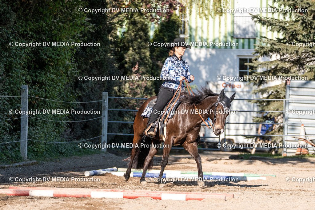 Balingen Tag 2-290 | dv-media-shop - Realisiert mit Pictrs.com