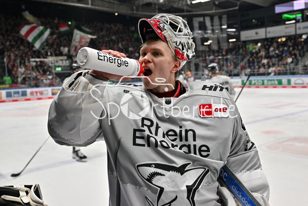 Augsburger Panther - Kölner Haie | Im Bild Strauss Tobia ANCICKA (Koelner Haie #45) im Powerbreak / DEL: Augsburger Panther - Koelner Haie, Curt Frenzel Stadion am 02.03.2025