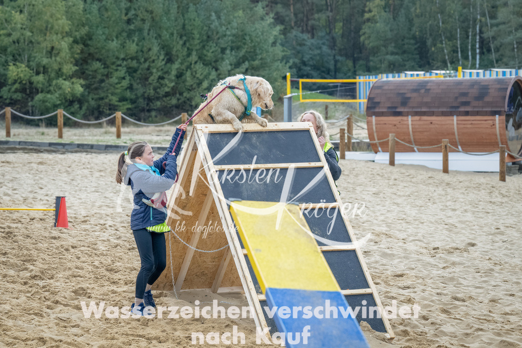 0918_ZZ92169-Bearbeitet | kk-dogfotos