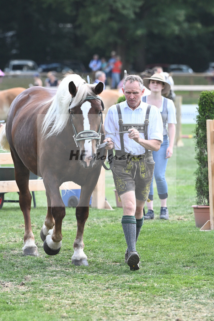 Kat-Nr. 59 Pamina_Mayr_20230952 | hf-fotografie - Realisiert mit Pictrs.com