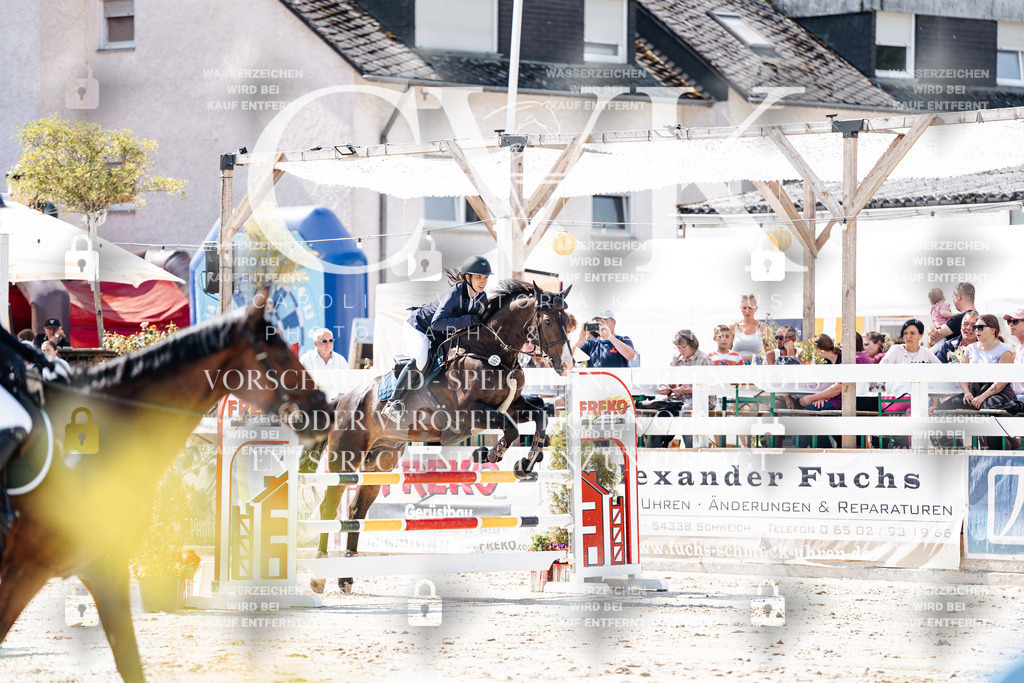 CK908692 | Turnierfotografie Pferdefotografie Trier Rheinland-Pfalz Pferdesport Reitsport Tierfotografie Sportfotografie Pferdevideo Pferdevideografie Equestrianvideography equestrianphotography  - Realisiert mit Pictrs.com