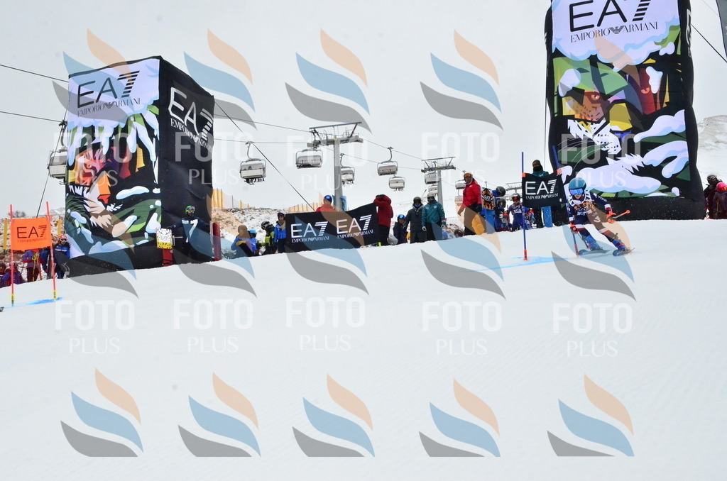 _ELE3420 | holidayphoto