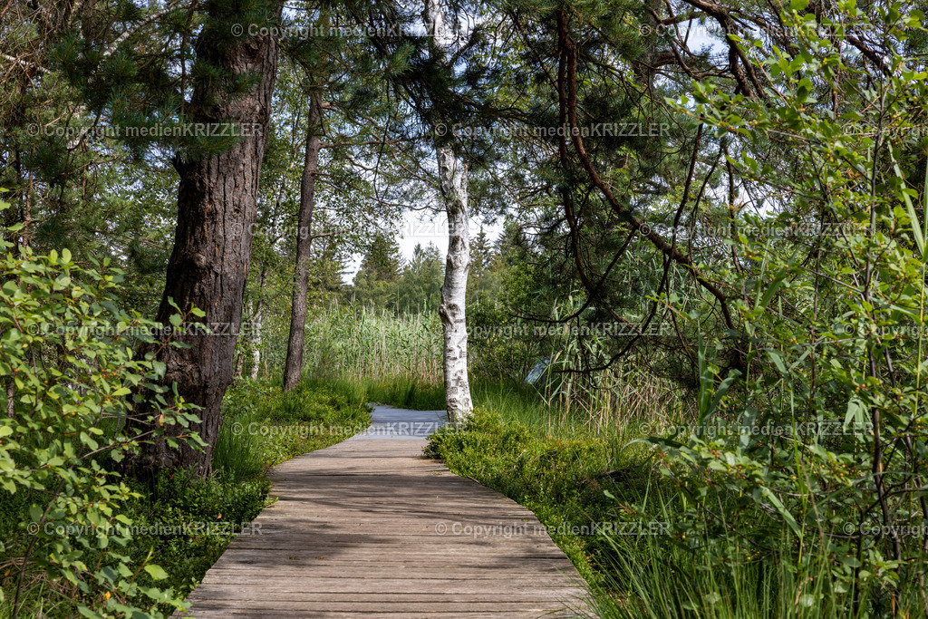 _J3A5414 | medienkrizzler - Realisiert mit Pictrs.com