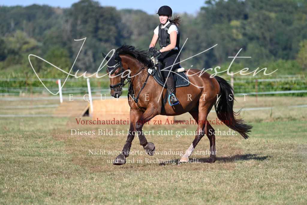 DSC_9016 | Pferde- und Turnierfotografie in Westsachsen. Pferdeportraits, Auftragszeichnungen und intuitive Kunst.