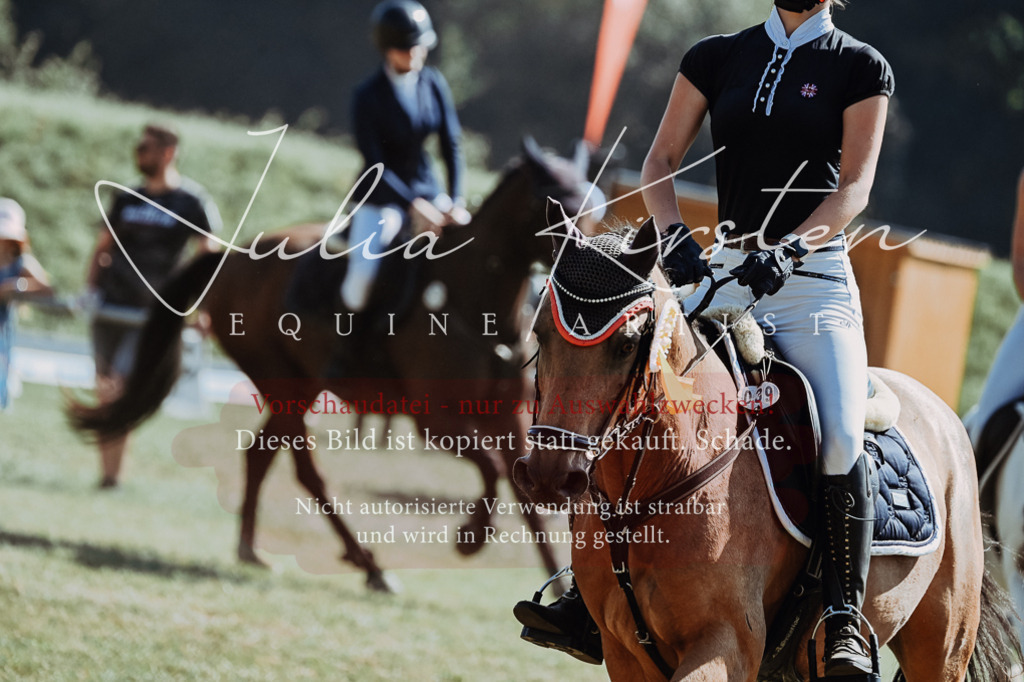DSC_6246 | Pferde- und Turnierfotografie in Westsachsen. Pferdeportraits, Auftragszeichnungen und intuitive Kunst.