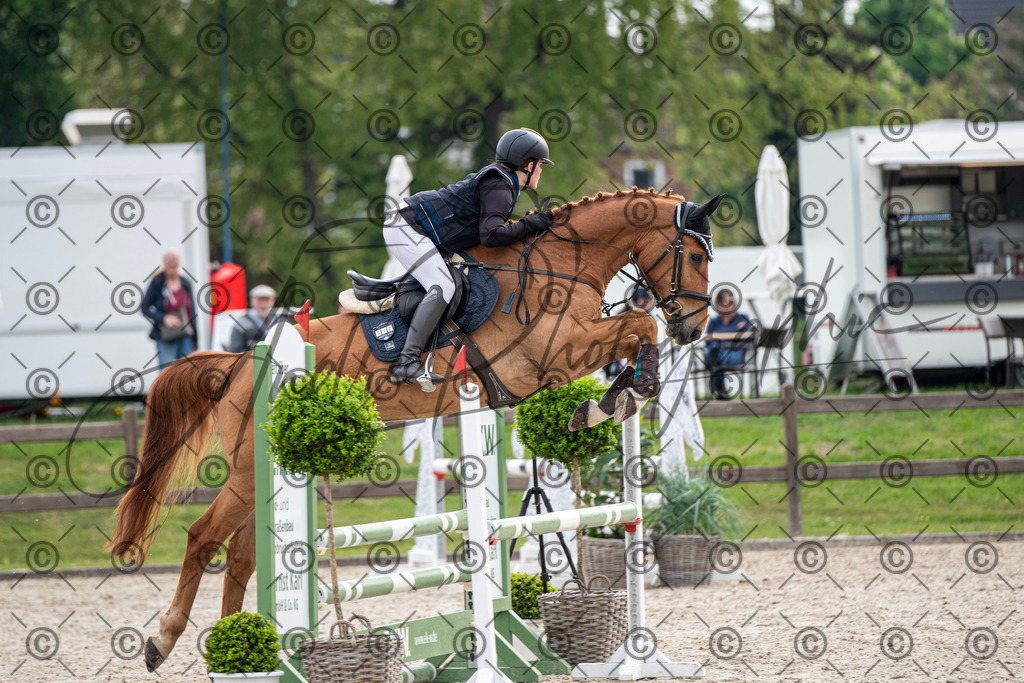 KPT_2054 | andre_photographic