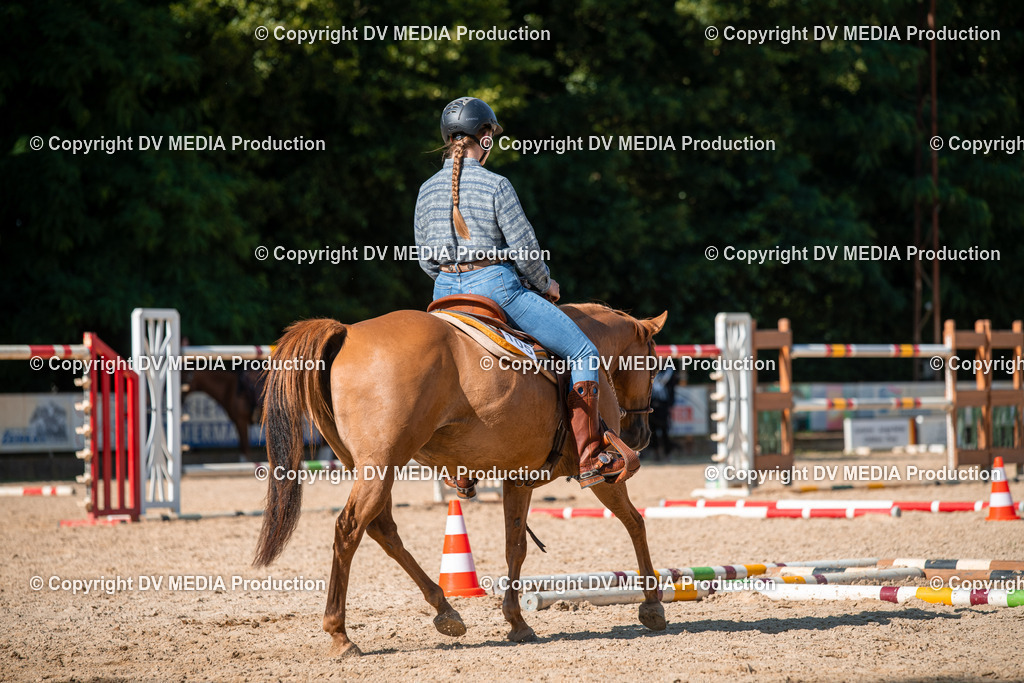 EWP_6974 | dv-media-shop - Realisiert mit Pictrs.com