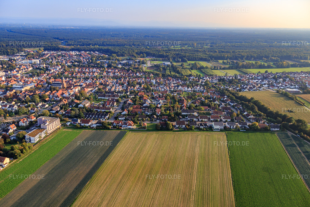 Luftbild: Guttenbergstraße, Burgenring aus Norden in Kandel im Bundesland Rheinland-Pfalz in Deutschland. Foto: IMG_073882.jpg vom 03.10.2014 durch Werner Riehm/FLY-FOTO.de