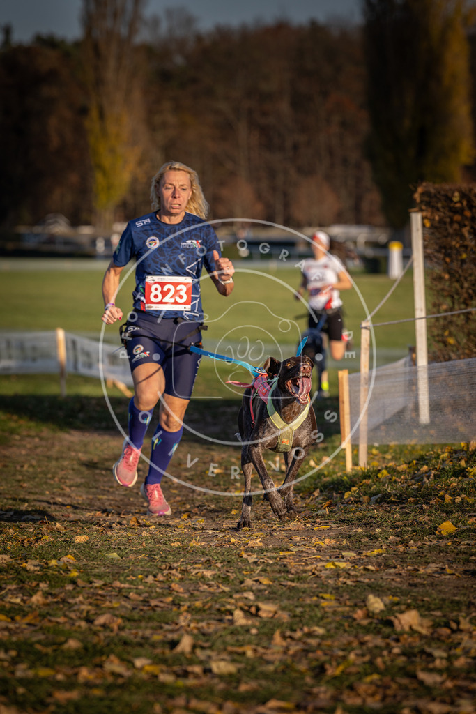 CaniXpix_DV3A3301 | Hundefotografie, Tierfotograf, Pfotenfotografie, Fotoshooting Hund, Hunde Portrait, Hundesport, Hundeportraits, Heideshooting, Hunde, Sportfotograf, Hundefotograf, Turnierhundsport, THS,  - Realisiert mit Pictrs.com