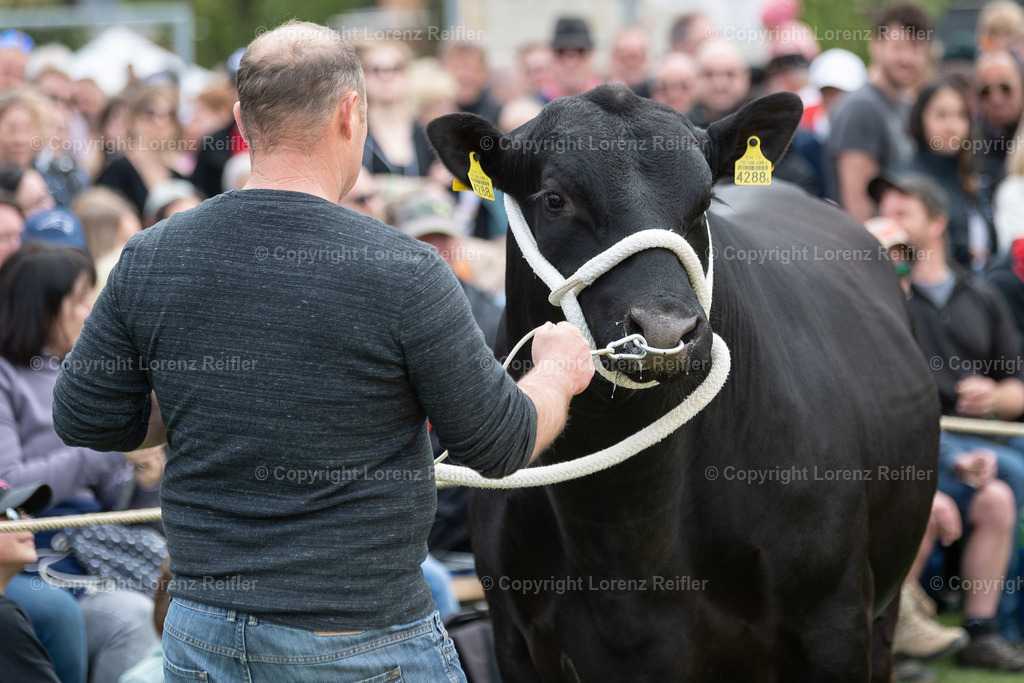 Schwingen -  TG Kantonal 2023 | Neukirch-Egnach, 30.4.23, Schwingen - TG Kantonal.