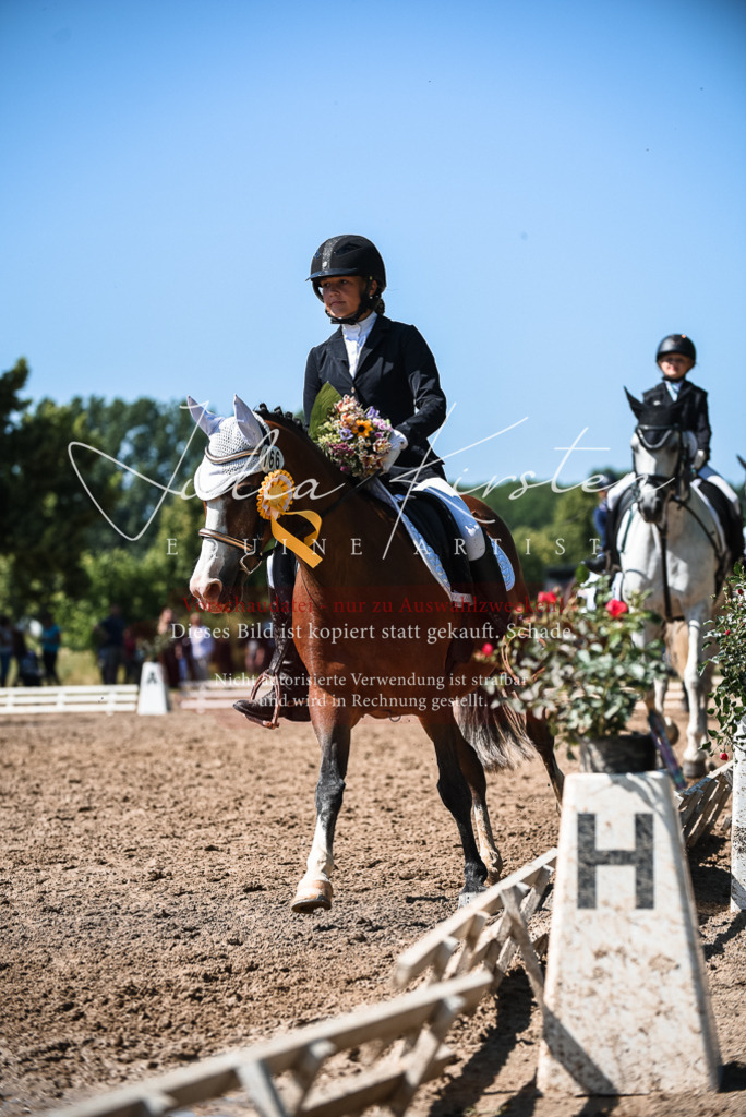 DSC_3694 | Pferde- und Turnierfotografie in Westsachsen. Pferdeportraits, Auftragszeichnungen und intuitive Kunst.