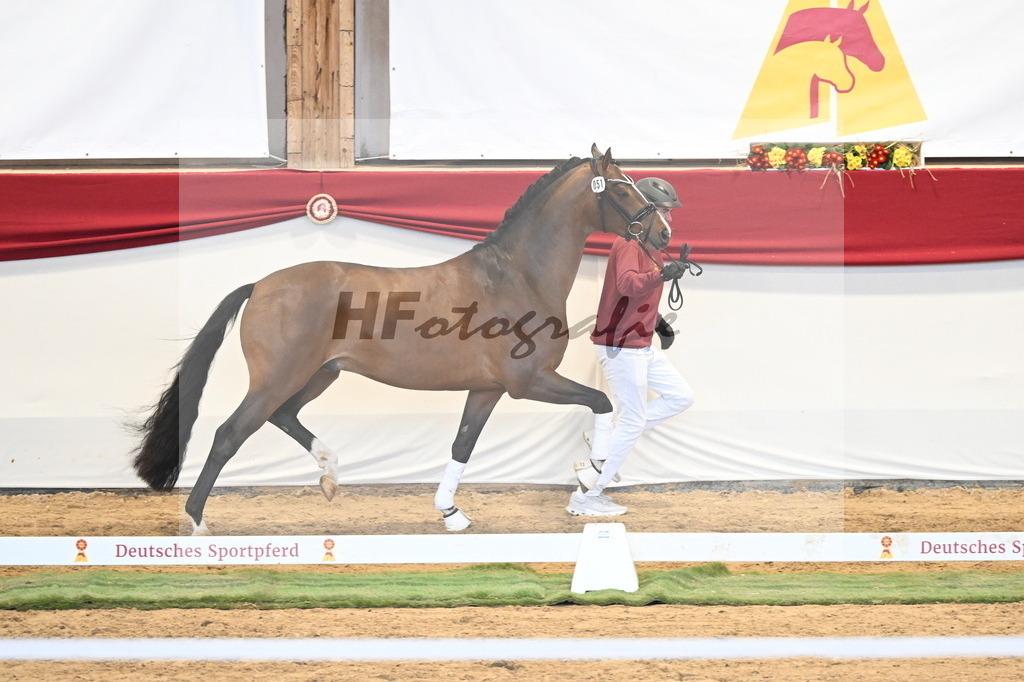 Kat.-Nr. 51 v. Fanegro_Gaab_3260508 | hf-fotografie - Realizzato con Pictrs.com