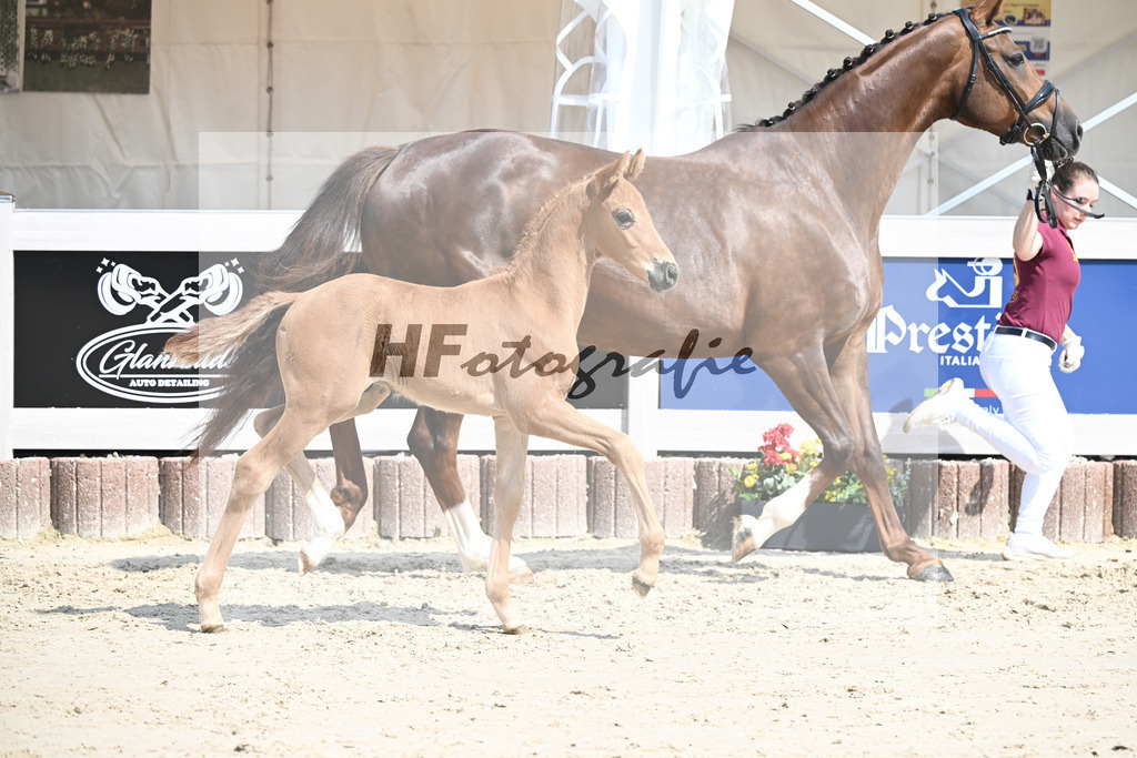 Va Bene x Savoy_HF_Groll_12250355 | hf-fotografie - Realisiert mit Pictrs.com