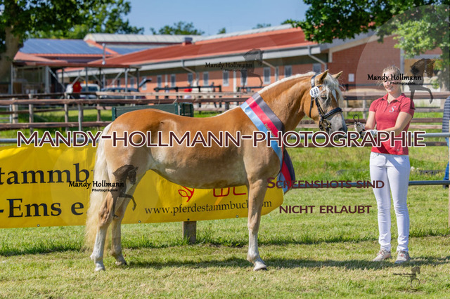 _MG_2225 | mandyhollmannphotographie