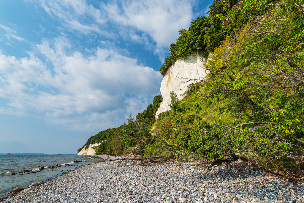 Kreidefelsen an der Küste der Ostsee auf der Insel Rügen | Kreidefelsen an der Küste der Ostsee auf der Insel Rügen.